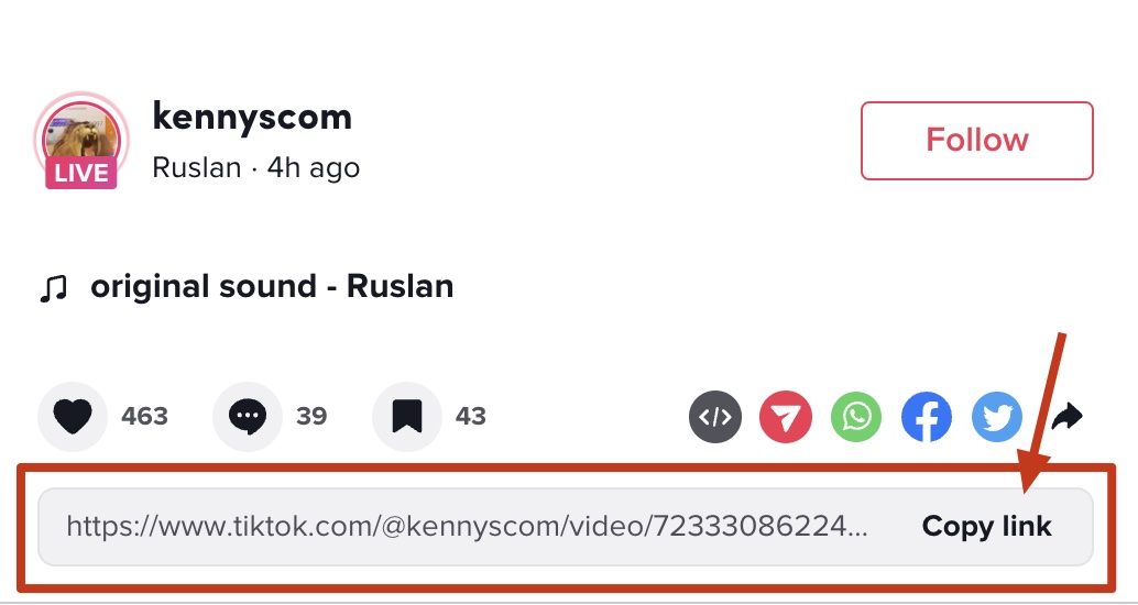 How to find a TikTok video link